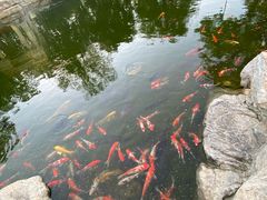 -青岛鑫江温德姆酒店