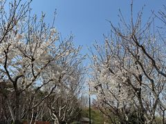 -青岛鑫江温德姆酒店