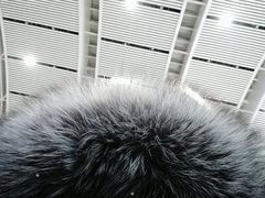 -沈阳站