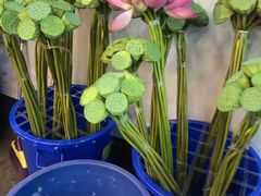 -双季花艺园艺市场(浦东店)