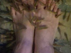 -泉城欧乐堡戏水湾艺术养生温泉