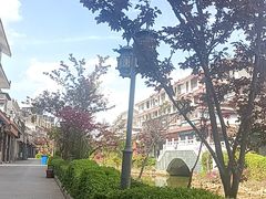 -乙丙丁正宗昭通天麻火腿鸡(总店)