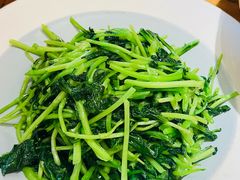 -鸽子窝(宋庄店)