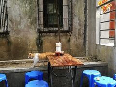露天位-陈添記·祖傳爽鱼皮·西关老字号(广州首店)