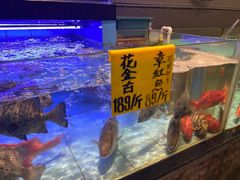 -九號渔港·蒸汽海鲜·粤菜茶点(八卦岭店)