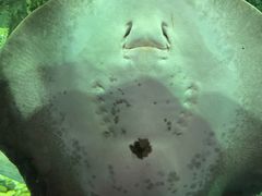 -苏州海洋馆