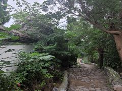 -阳台山自然风景区