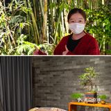 广东粤菜 | 来过这家才知道什么是正宗「味道」