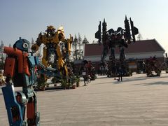 -上海长兴岛郊野公园