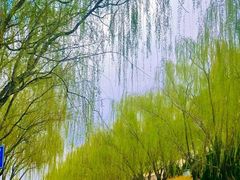 -元大都城垣遗址公园
