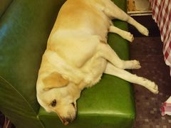 -朕悦鹧鸪饭私房菜