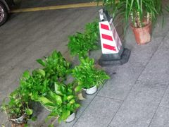 -手功王养生·足疗按摩·SPA·采耳(天府路店)