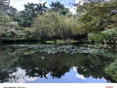 -西湖游船