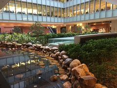 -香港大学
