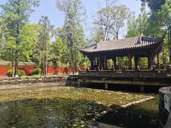 -宝光寺