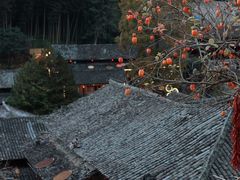 -林坑古村落