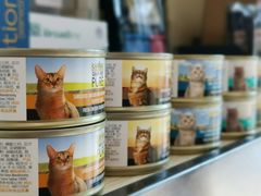 -凯特喵百思猫专科医院