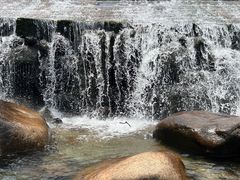 -石台牯牛降景区