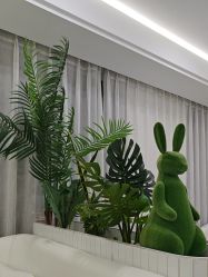 -白月光皮肤管理·德国LDM