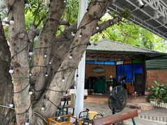 -Green Tree Rest. & Pub