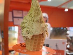 -野人先生现做冰淇淋(北京王府井东方新天地店)