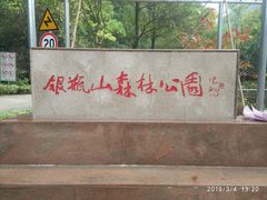 -银瓶嘴森林公园