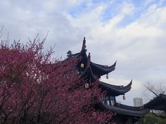 -天一阁博物院