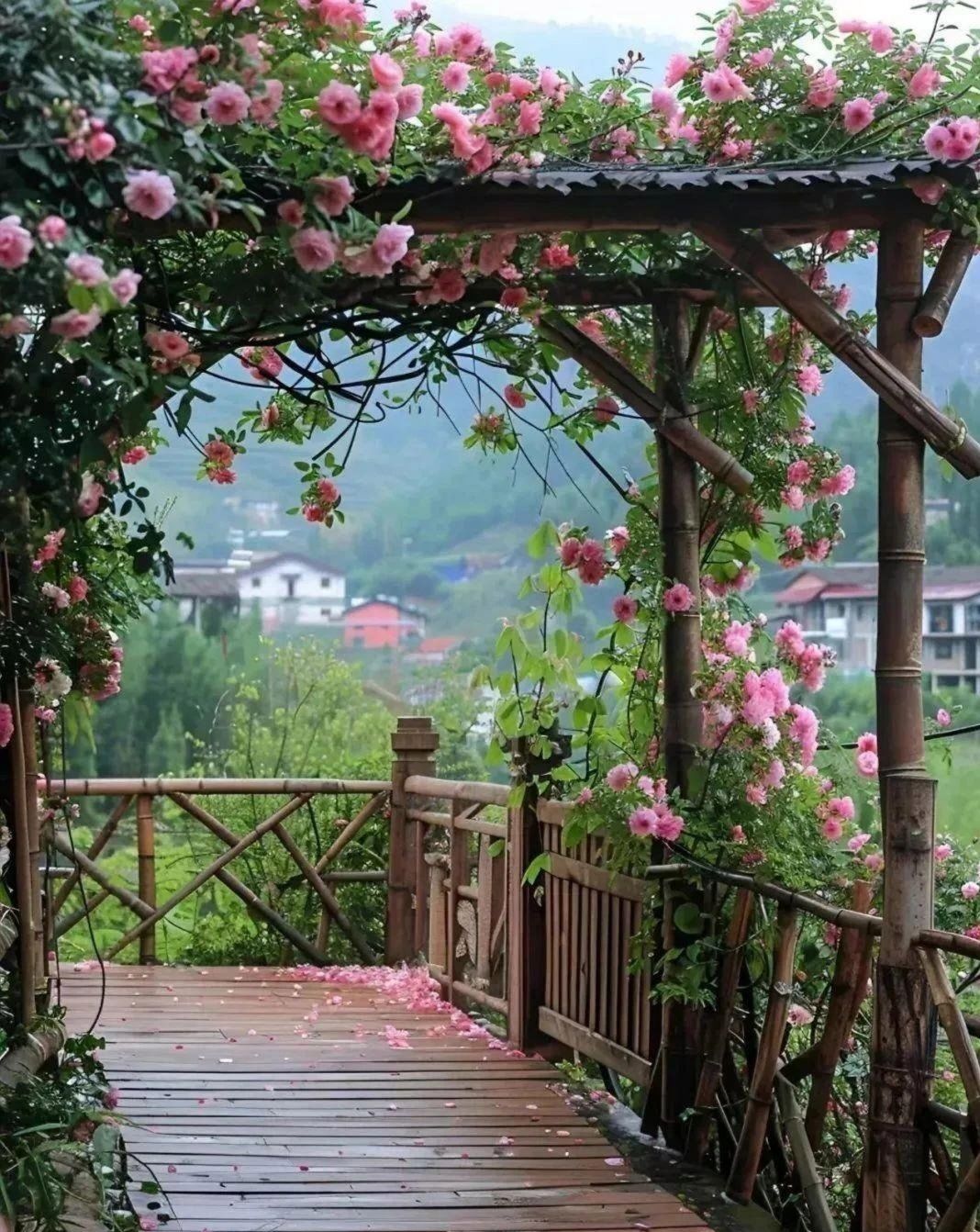 这座城这漂亮的院子在偏僻宁静的乡村里,通往院落的栈道开满了鲜花