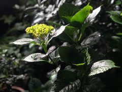 -国生茶庄·地道农家菜团建活动