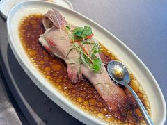 -骏莱海鲜鱼港(五角场店)