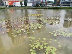 -花果园湿地公园
