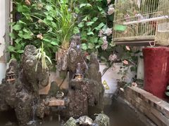-丽江庭院·云南野生菌·海鲜火锅(鼓楼四合院店)