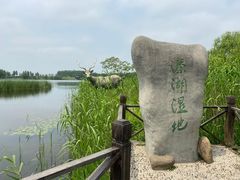 -溱湖国家湿地公园