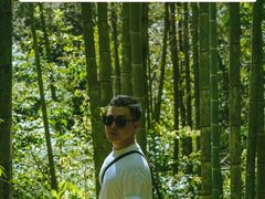 -午潮山国家森林公园