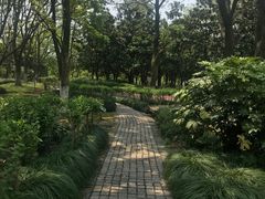 -白塘生态植物园