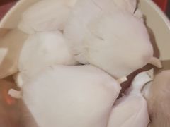 -卤校长重庆火锅(国兴店)