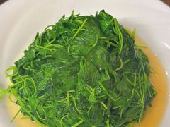 -协和菜馆(凤凰街店)