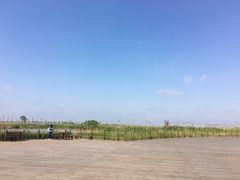-盐城丹顶鹤湿地生态旅游区
