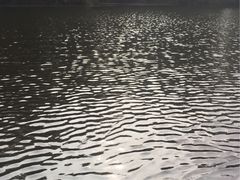 石象湖-保利石象湖景区