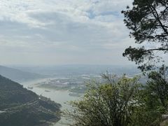 -铁山坪森林公园