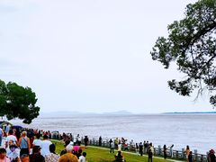 -观潮胜地公园