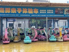 -芜湖新华联大白鲸海洋公园