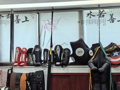 -温鉴良实用咏春拳
