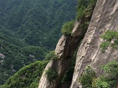 -陕西省红河谷森林公园