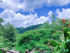 -海南槟榔谷黎苗文化旅游区