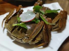 -呼吸森林·生态农庄农家乐私房菜