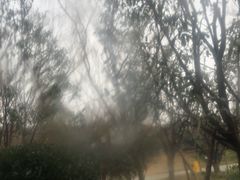 -思念果岭悦温泉