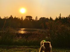 -白鹭湾湿地公园