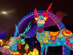 -武汉园博园(武汉自然博物馆)