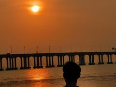 -宝安西湾红树林湿地公园